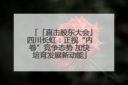 「直击股东大会」四川长虹：正视“内卷”竞争态势 加快培育发展新动能