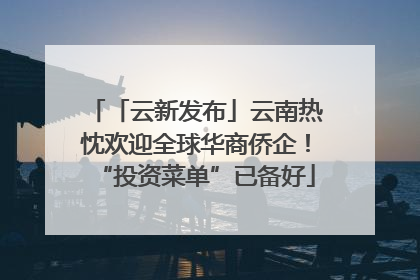 「云新发布」云南热忱欢迎全球华商侨企！“投资菜单”已备好