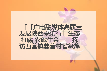 「广电融媒体高质量发展陕西采访行」生态打底 农旅生金——探访西营镇蔓营村省级旅游示范村的振兴密码
