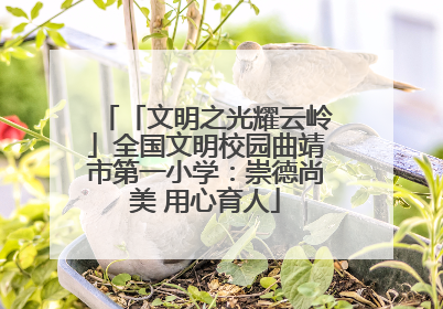 「文明之光耀云岭」全国文明校园曲靖市第一小学：崇德尚美 用心育人