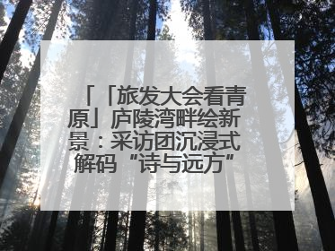 「旅发大会看青原」庐陵湾畔绘新景：采访团沉浸式解码“诗与远方”（图）