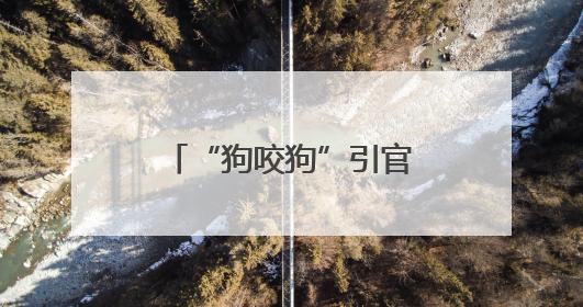 “狗咬狗”引官司，狗主人屡次不牵狗绳担全责