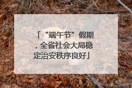 “端午节”假期，全省社会大局稳定治安秩序良好