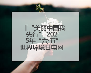 “美丽中国我先行” 2025年“六·五”世界环境日电网环保宣传系列活动——多场景联动，共筑生态发展新图景