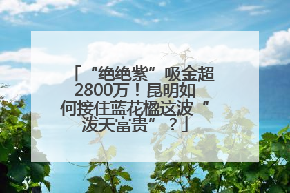 “绝绝紫”吸金超2800万！昆明如何接住蓝花楹这波“泼天富贵”？