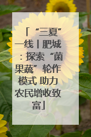 “三夏”一线丨肥城：探索“菌果蔬”轮作模式 助力农民增收致富