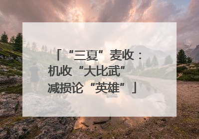 “三夏”麦收：机收“大比武” 减损论“英雄”