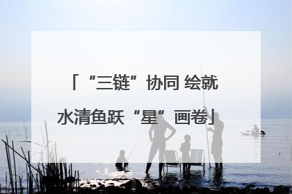 “三链”协同 绘就水清鱼跃“星”画卷