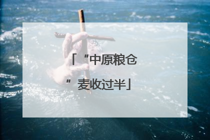 “中原粮仓”麦收过半