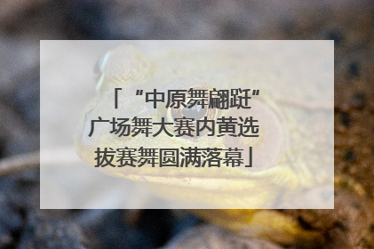 “中原舞翩跹”广场舞大赛内黄选拔赛舞圆满落幕