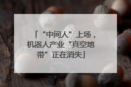 “中间人”上场，机器人产业“真空地带”正在消失