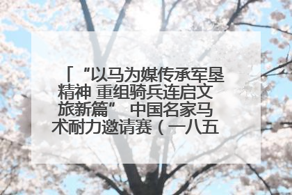 “以马为媒传承军垦精神 重组骑兵连启文旅新篇” 中国名家马术耐力邀请赛（一八五团站）暨重启骑兵连活动正式启动