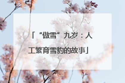 “傲雪”九岁：人工繁育雪豹的故事