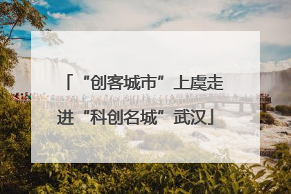 “创客城市”上虞走进“科创名城”武汉