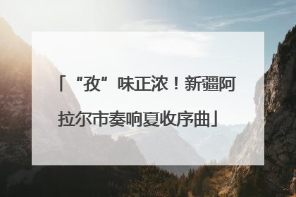 “孜”味正浓！新疆阿拉尔市奏响夏收序曲