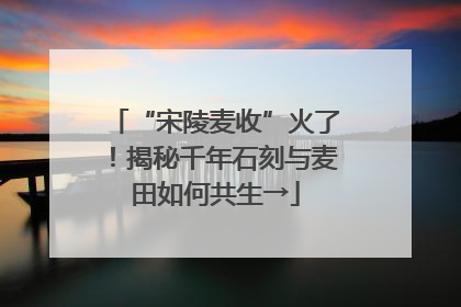 “宋陵麦收”火了！揭秘千年石刻与麦田如何共生→