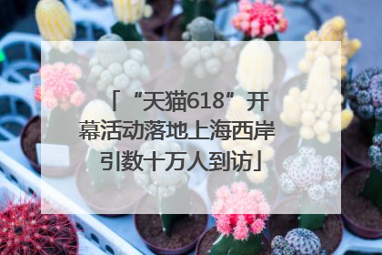 “天猫618”开幕活动落地上海西岸 引数十万人到访