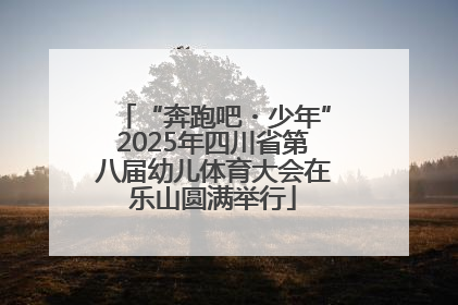 “奔跑吧・少年”2025年四川省第八届幼儿体育大会在乐山圆满举行