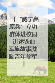“威宁高原兵”立功群体进校园 讲述铁血军旅故事激励青年参军