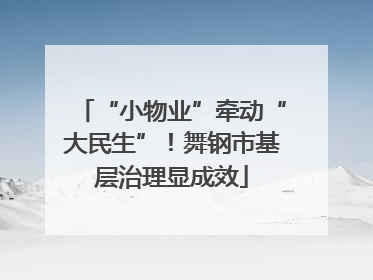 “小物业”牵动“大民生”！舞钢市基层治理显成效