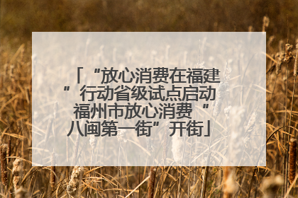 “放心消费在福建”行动省级试点启动 福州市放心消费“八闽第一街”开街