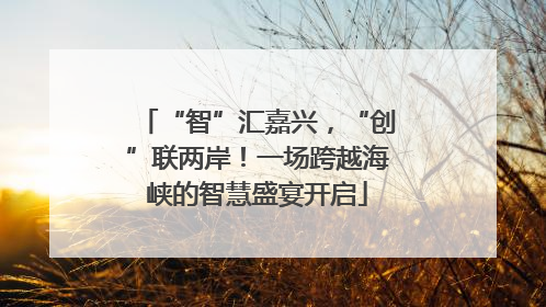 “智”汇嘉兴，“创”联两岸！一场跨越海峡的智慧盛宴开启