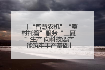 “智慧农机”“整村托管”服务“三夏”生产 向科技要产能筑牢丰产基础