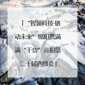“智领科技·链动未来”绵阳携满满“干货”亮相第二十届西博会