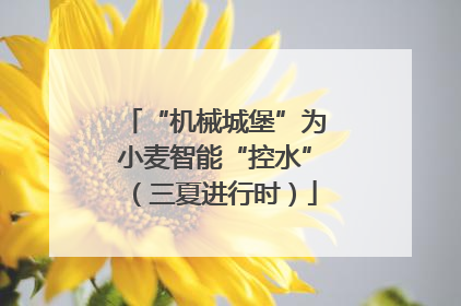 “机械城堡”为小麦智能“控水”（三夏进行时）