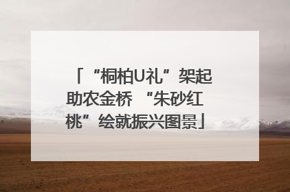 “桐柏U礼”架起助农金桥 “朱砂红桃”绘就振兴图景