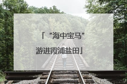 “海中宝马”游进霞浦盐田