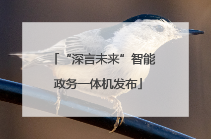 “深言未来”智能政务一体机发布