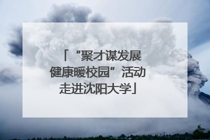 “聚才谋发展 健康暖校园”活动走进沈阳大学