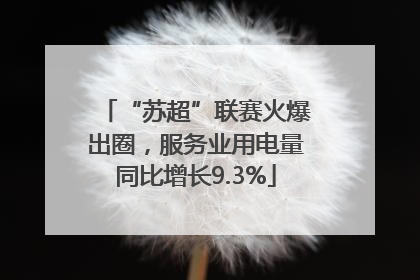 “苏超”联赛火爆出圈，服务业用电量同比增长9.3%