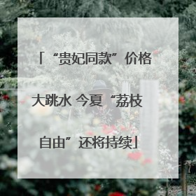 “贵妃同款”价格大跳水 今夏“荔枝自由”还将持续