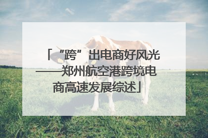 “跨”出电商好风光——郑州航空港跨境电商高速发展综述