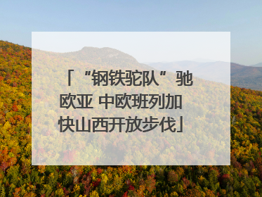 “钢铁驼队”驰欧亚 中欧班列加快山西开放步伐