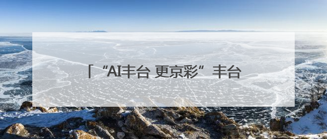 “AI丰台 更京彩”丰台科技园商圈消费季活动启幕