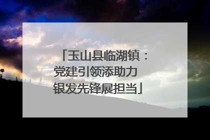 玉山县临湖镇：党建引领添助力 银发先锋展担当