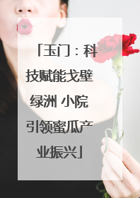 玉门：科技赋能戈壁绿洲 小院引领蜜瓜产业振兴