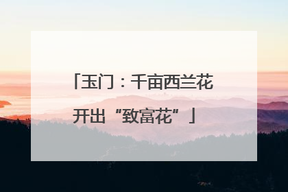 玉门：千亩西兰花开出“致富花”