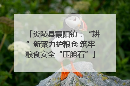 炎陵县霞阳镇：“耕”新聚力护粮仓 筑牢粮食安全“压舱石”