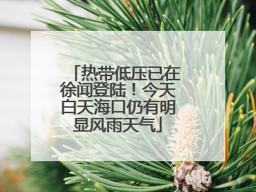热带低压已在徐闻登陆！今天白天海口仍有明显风雨天气