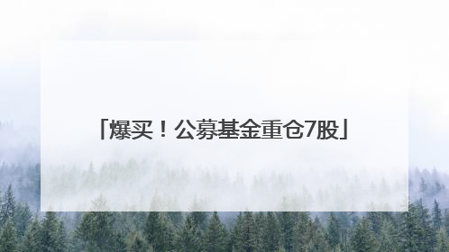 爆买！公募基金重仓7股