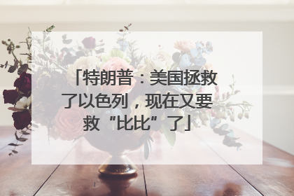 特朗普：美国拯救了以色列，现在又要救“比比”了