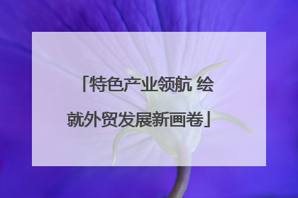 特色产业领航 绘就外贸发展新画卷