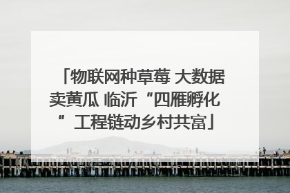 物联网种草莓 大数据卖黄瓜 临沂“四雁孵化”工程链动乡村共富