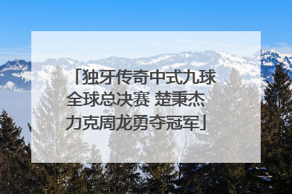 独牙传奇中式九球全球总决赛 楚秉杰力克周龙勇夺冠军