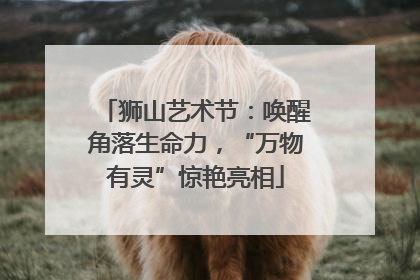 狮山艺术节：唤醒角落生命力，“万物有灵”惊艳亮相