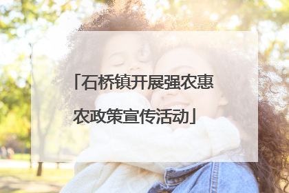 石桥镇开展强农惠农政策宣传活动
